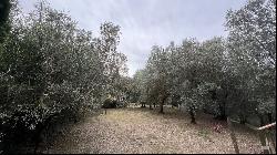 At the Cypress Shadow Country House, Cetona, Siena - Tuscany