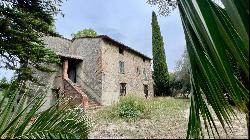 At the Cypress Shadow Country House, Cetona, Siena - Tuscany