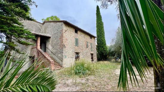 At the Cypress Shadow Country House, Cetona, Siena - Tuscany