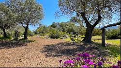 Villa Le Terrazze with sea view and park, San Teodoro, Olbia -Sardinia