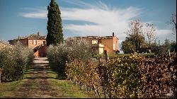 The Nobil Donna vineyards and resort, Montepulciano - Tuscany