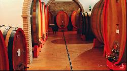 The Nobil Donna vineyards and resort, Montepulciano - Tuscany