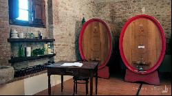 The Nobil Donna vineyards and resort, Montepulciano - Tuscany