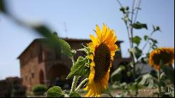 The Nobil Donna vineyards and resort, Montepulciano - Tuscany