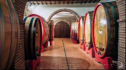 The Nobil Donna vineyards and resort, Montepulciano - Tuscany