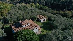 Casale Vico with pool and solar panels, Palaia, Pisa – Toscana