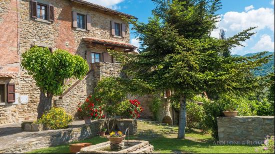 Il Poggio country house with apartments and pool, Arezzo