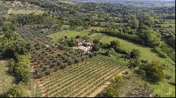 Bellavista Estate, in beautiful valley in Montepulciano - Tuscany