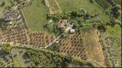 Bellavista Estate, in beautiful valley in Montepulciano - Tuscany