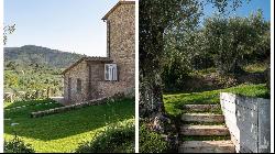 Villa La Cascata with swimming pool and olive grove in Cortona, Arezzo