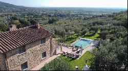 Villa La Cascata with swimming pool and olive grove in Cortona, Arezzo