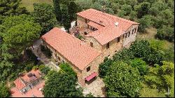 L'Antica Mangiatoia with court and olive grove, Trequanda - Tuscany