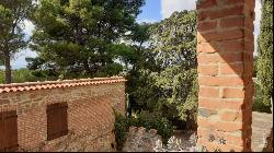 L'Antica Mangiatoia with court and olive grove, Trequanda - Tuscany