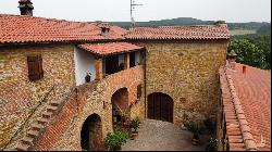 L'Antica Mangiatoia with court and olive grove, Trequanda - Tuscany