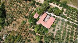 L'Antica Mangiatoia with court and olive grove, Trequanda - Tuscany