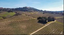 Vino Nobile di Montepulciano Organic Winery Estate, Siena - Tuscany