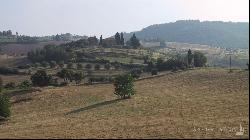 Farmhouse in the hills, Torrita di Siena, Siena - Tuscany