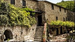 Country House L'Incanto in Chianti, Castellina in Chianti, Siena 