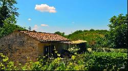 Country House L'Incanto in Chianti, Castellina in Chianti, Siena 