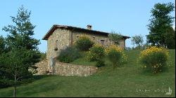 La Verna Villa with pool and guest cottages, Arezzo - Tuscany