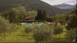 La Verna Villa with pool and guest cottages, Arezzo - Tuscany