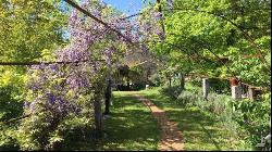 Country house Il Noce, Trequanda, Siena - Tuscany