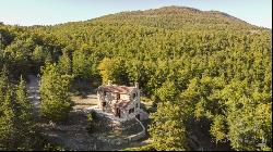 Casale Panoramico con Bosco, Cetona – Toscana