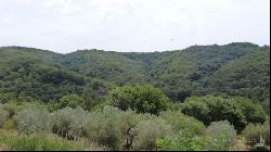 Casale la Tartufaia, Asciano, Siena - Tuscany