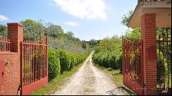 The Bel View Villa with pool, Città della Pieve - Umbria