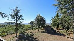 La Sorgente country house with olive grove, Città della Pieve