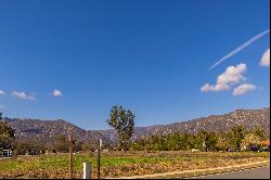 Development Opportunity In Ojai