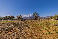 Development Opportunity In Ojai