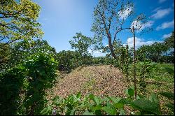 Ocean/Mangrove Front 0.5 Acre Lot