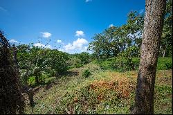 Ocean/Mangrove Front 0.5 Acre Lot