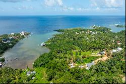 Ocean/Mangrove Front 0.5 Acre Lot