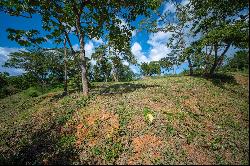 Ocean/Mangrove Front 0.5 Acre Lot