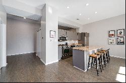 stunning Lincoln Park loft condo