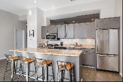 stunning Lincoln Park loft condo