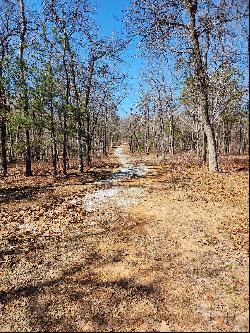 Serene Piece of Land with Well-Defined Homesite