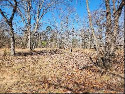 Serene Piece of Land with Well-Defined Homesite