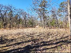 Serene Piece of Land with Well-Defined Homesite