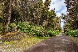 11-3906 4TH ST,Volcano, HI, 96785