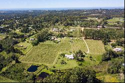 Winery and Restaurant in Plett