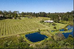 Winery and Restaurant in Plett