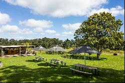 Winery and Restaurant in Plett