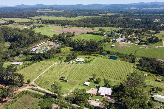 Winery and Restaurant in Plett