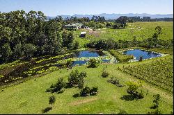 Winery and Restaurant in Plett