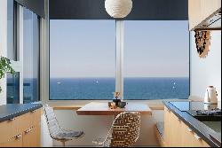 Chicago Living Redefined with Epic Views