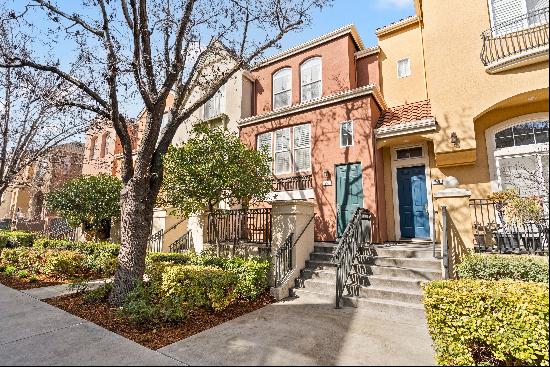 Stunning Townhome on Picturesque Tree-Lined Street