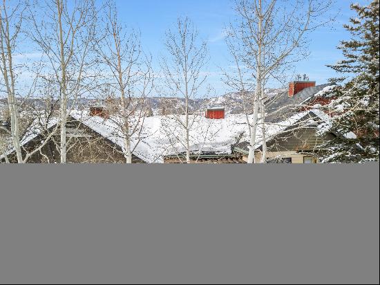 3462 Sunburst Court, Steamboat Springs, CO 80487